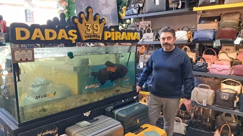 Kamil Elmalı, 'Dadaş Pirana'yı anlattı.