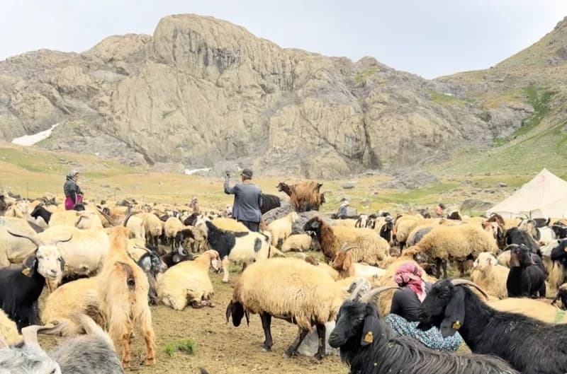 Amerika Birleşik Devletleri'nin Teksas eyaletinden Türkiye'ye gelen emekli avukat Steve Fogel, Hakkari’nin doğasıyla ön