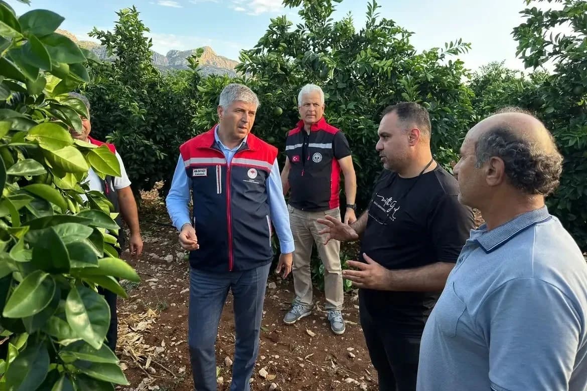 Adana Yüreğir ilçesinde dolu yağışı sonrası zarar gören narenciye bahçeleri ve tarım arazileri
