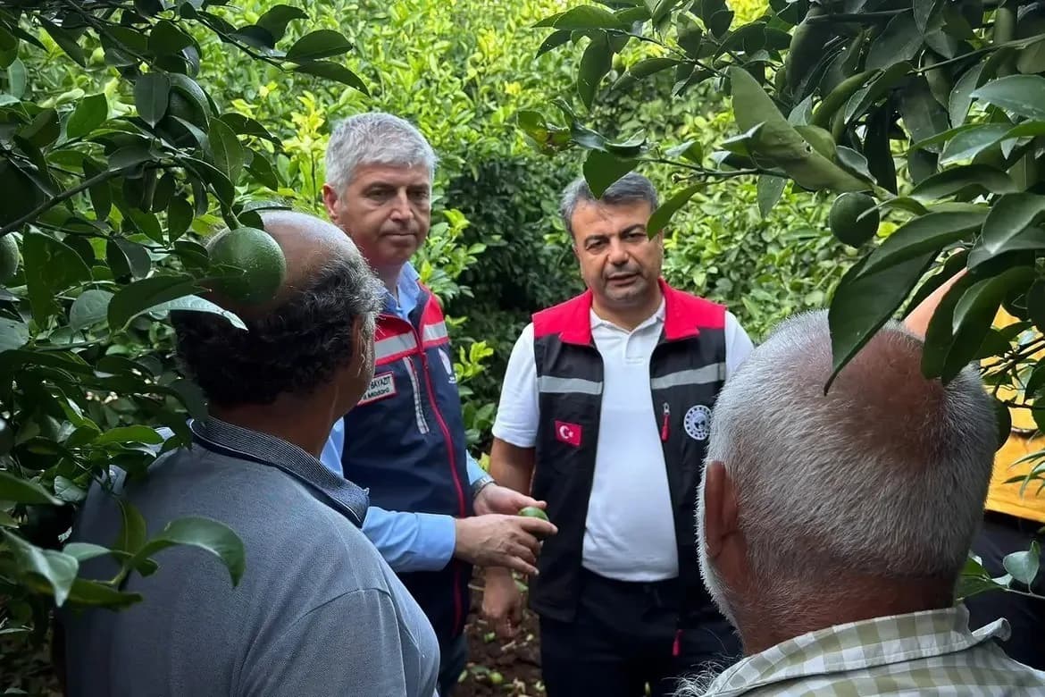 Adana’da etkili olan dolu yağışı narenciye başta olmak üzere Tarım ürünlerinde zarara yol açarken, İl Tarım ve Orman Müd