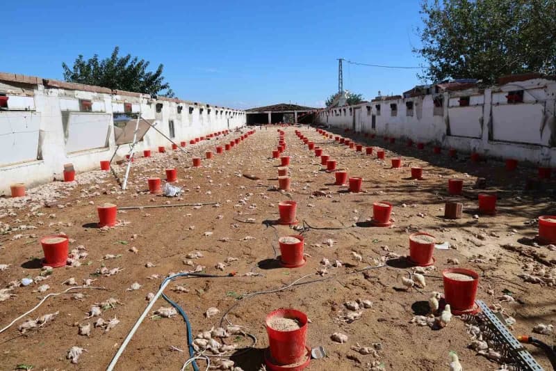 Adana’nın İmamoğlu ilçesinde dün etkili olan sağanak yağış ve fırtına ile oluşan süper hücre Ağzıkaraca Mahallesi’nde ik