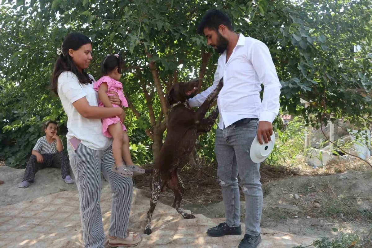 Adana’da bir çiftçinin köpeği, komşusu tarafından sopayla darbedildi. Köpeğin sahibi komşusundan şikayetçi olurken, olay