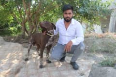 Adana Sarıçam’da bir köpeğe sopayla şiddet uygulanırken güvenlik kamerası görüntüsü