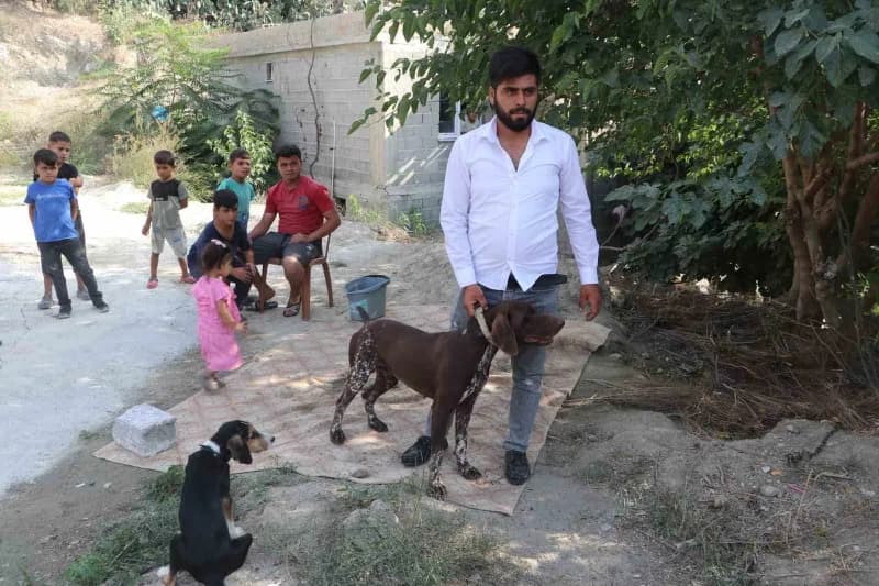 Adana’da bir çiftçinin köpeği, komşusu tarafından sopayla darbedildi. Köpeğin sahibi komşusundan şikayetçi olurken, olay