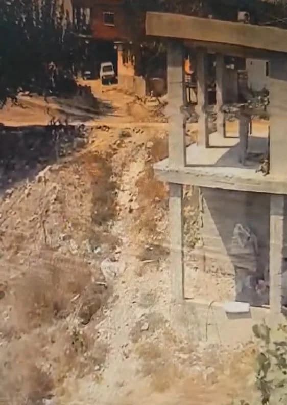 Adana’da bir çiftçinin köpeği, komşusu tarafından sopayla darbedildi. Köpeğin sahibi komşusundan şikayetçi olurken, olay