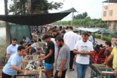 Adana kuş pazarında çeşitli türlerde kuşların kafeslerde sergilendiği ve satıldığı kalabalık pazar alanı