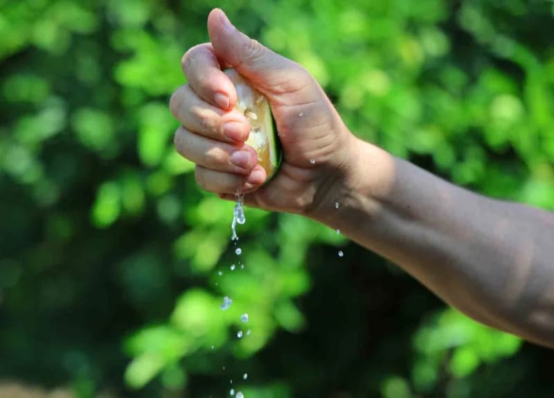 Türkiye’nin en önemli limon üretim merkezlerinden Adana’da Limonun ihracat izni çıktı ancak Rusya-Ukrayna savaşı nedeniy