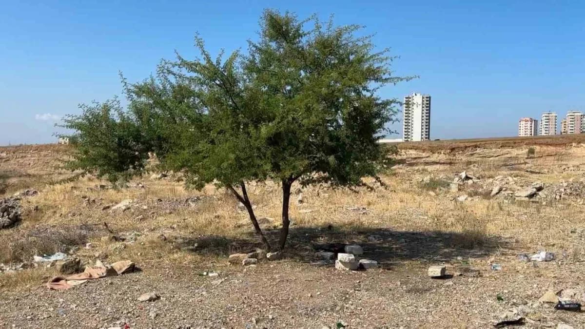 Adana’da boş arazide ölü bulunan 35 yaşındaki Erol Coşkun’un olay yeri incelemesi