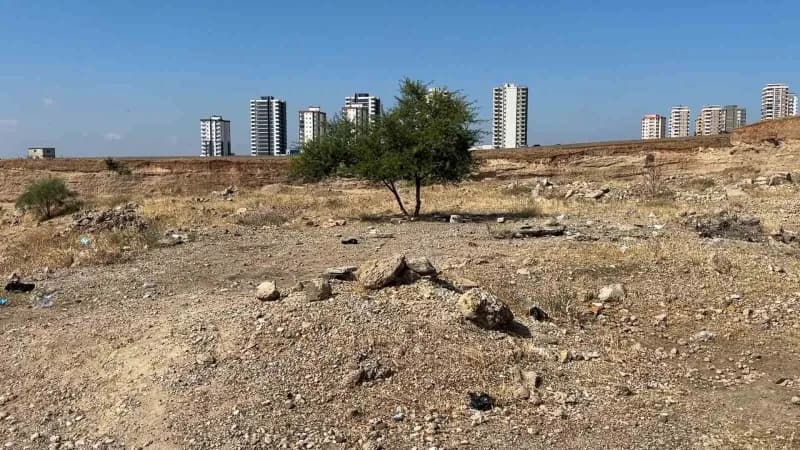 Adana’da 35 yaşındaki Erol Coşkun boş arazide ölü halde bulundu.