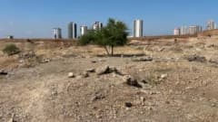 Adana’da boş arazide ölü bulunan 35 yaşındaki Erol Coşkun’un olay yeri incelemesi