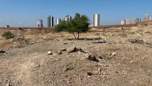 Adana’da boş arazide ölü bulunan 35 yaşındaki Erol Coşkun’un olay yeri incelemesi