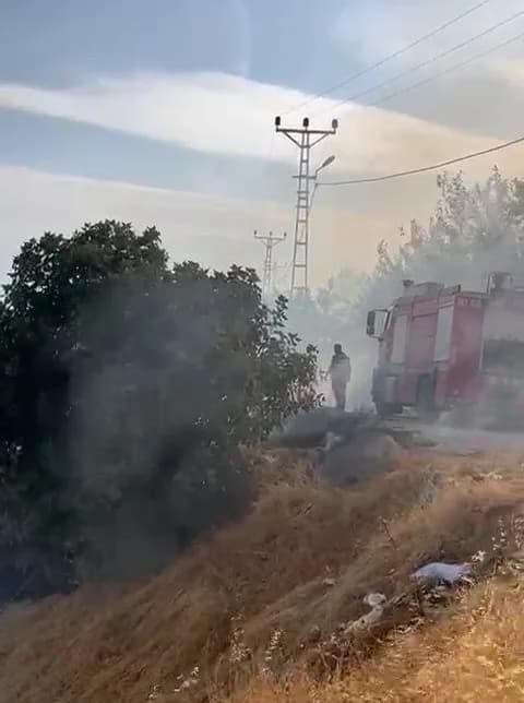 Adıyaman’da bahçede çıkan yangın ağaçlara zarar verdi.