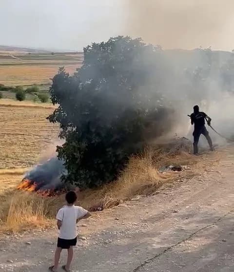 Adıyaman Kuştepe köyünde bahçede çıkan yangında zarar gören ağaçlar