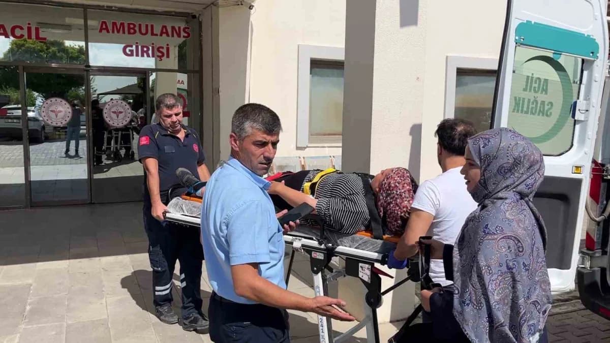 Adıyaman'ın Besni ilçesinde otomobil ile hafriyat kamyonunun çarpışması sonucu 3 kişi yaralandı.