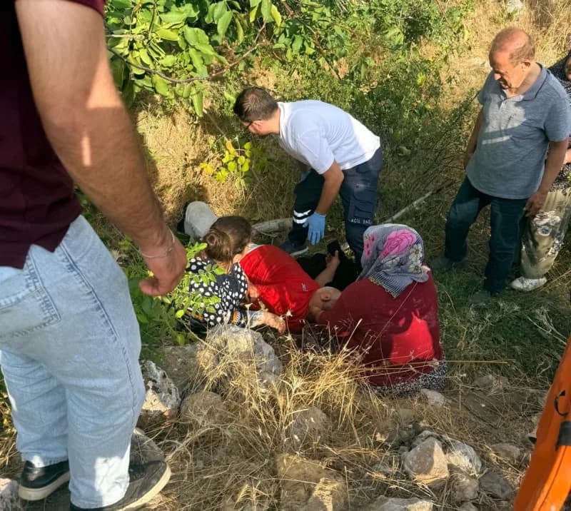 Adıyaman Gölbaşı ilçesinde ceviz ağacından düşen kişinin sağlık ekipleri tarafından müdahale edilmesi