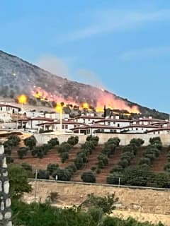 Adıyaman Palanlı mevkiindeki ormanlık alanda çıkan yangına müdahale eden itfaiye ekipleri