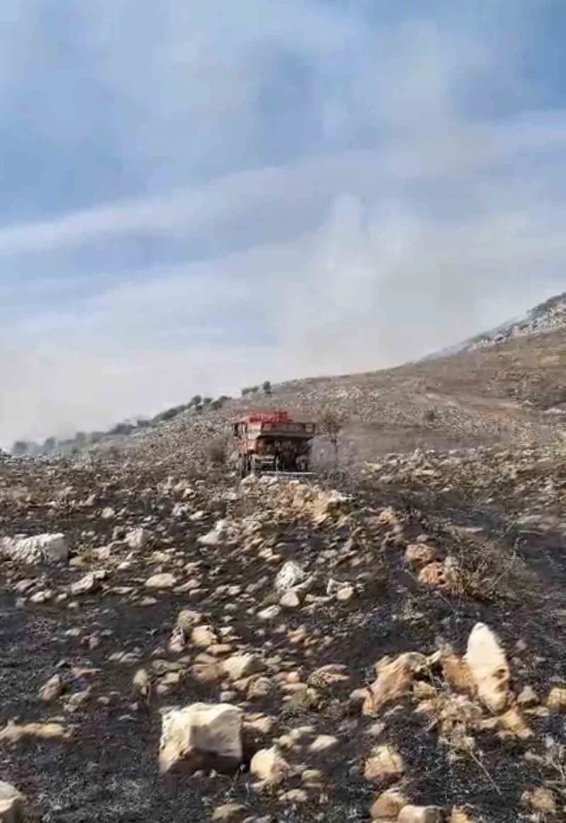 Adıyaman’da ormanlık alanda çıkan yangın korkuttu.