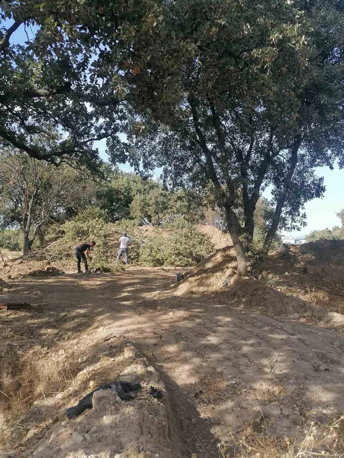 Kazı alanında, kazı sahasının genişletilmesi amacıyla 6 tescilsiz meşe ağacının kesilmesine karar verildiği öğrenildi.