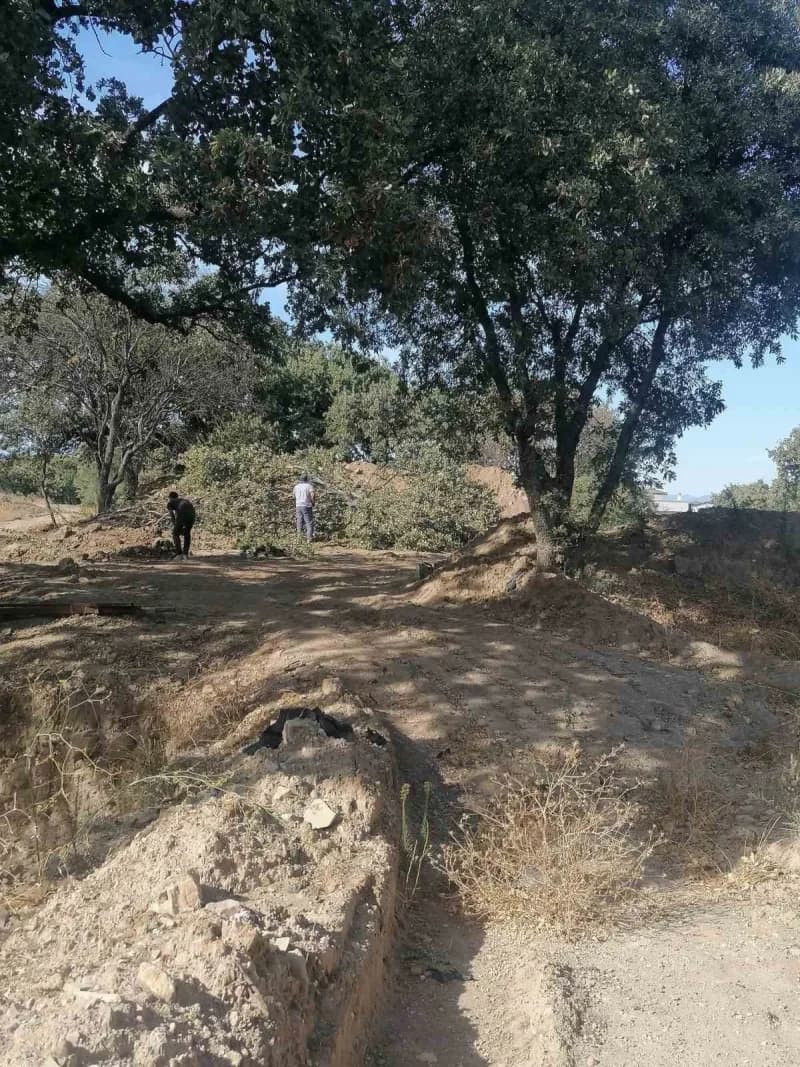 Kazı alanında, kazı sahasının genişletilmesi amacıyla 6 tescilsiz meşe ağacının kesilmesine karar verildiği öğrenildi.