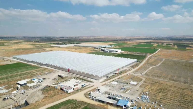 Afyonkarahisar'da kadınlar birkaç ay sonra çalışmaya başlayacakları ve topraksız tarımın yapılacağı jeotermal serayı ken