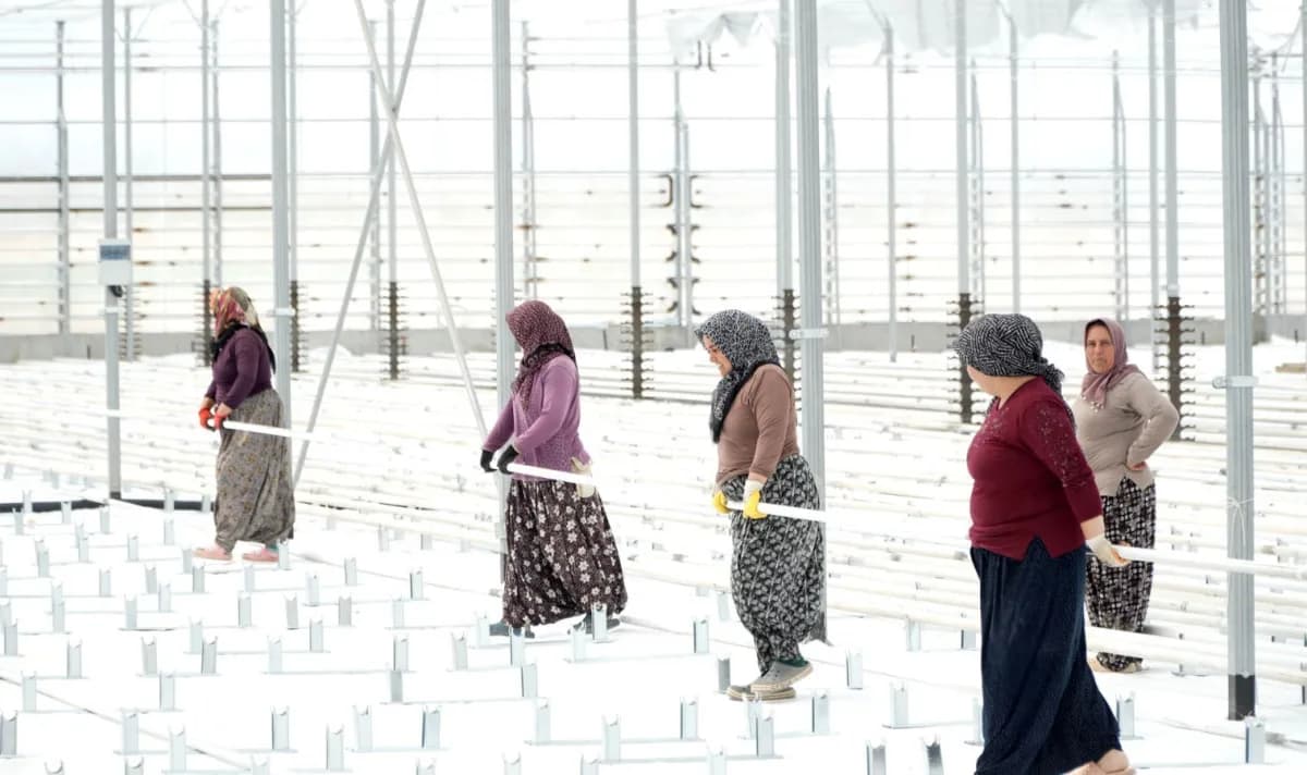 Afyonkarahisar'da kadınlar birkaç ay sonra çalışmaya başlayacakları ve topraksız tarımın yapılacağı jeotermal serayı ken