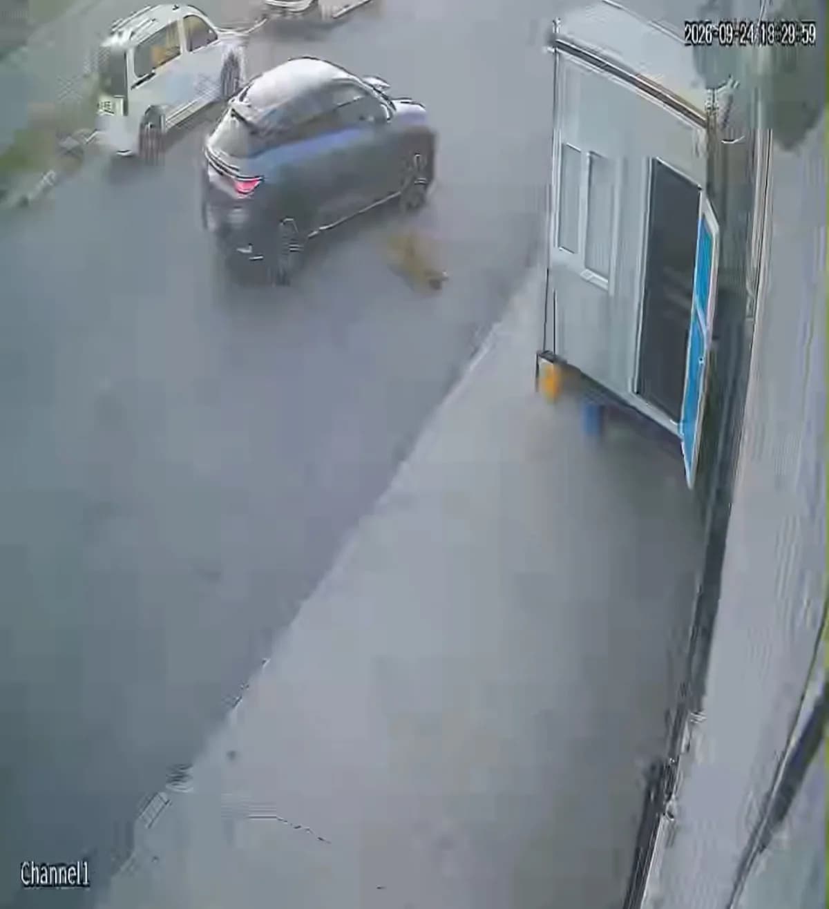 Afyonkarahisar'da bir sürücünün sokak köpeğine çarptıktan sonra durmayarak yoluna devam ettiği anlar güvenlik kameraları