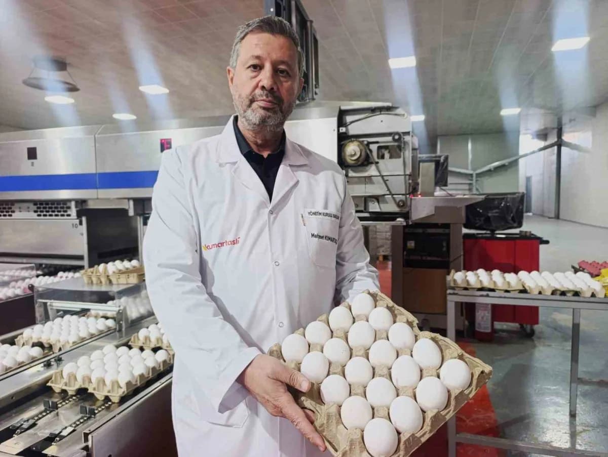 ATSO Yumurtacılar Meslek Komitesi Üyesi Mehmet Kumartaşlı