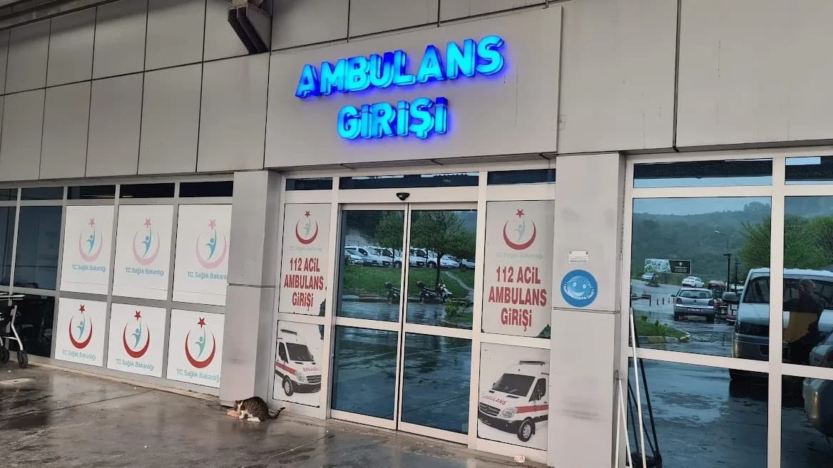 Zonguldak Alaplı Çiçekli köyünde ağaçtan düşme sonucu yaralanan kişiler için sağlık ekipleri müdahale ediyor