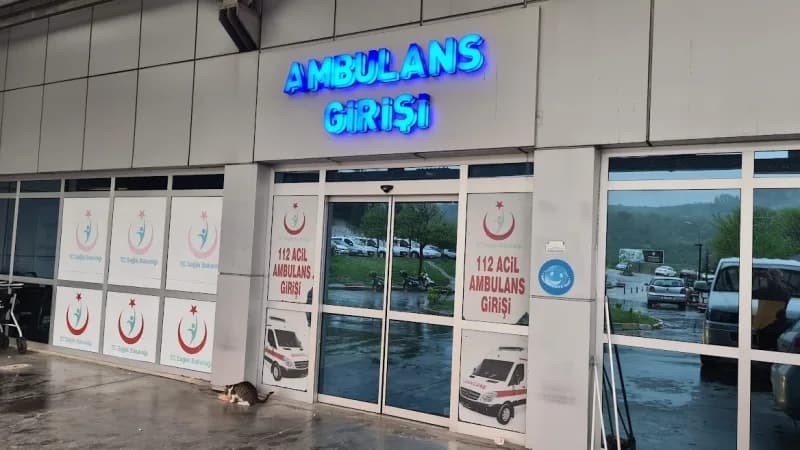 Zonguldak Alaplı Çiçekli köyünde ağaçtan düşme sonucu yaralanan kişiler için sağlık ekipleri müdahale ediyor