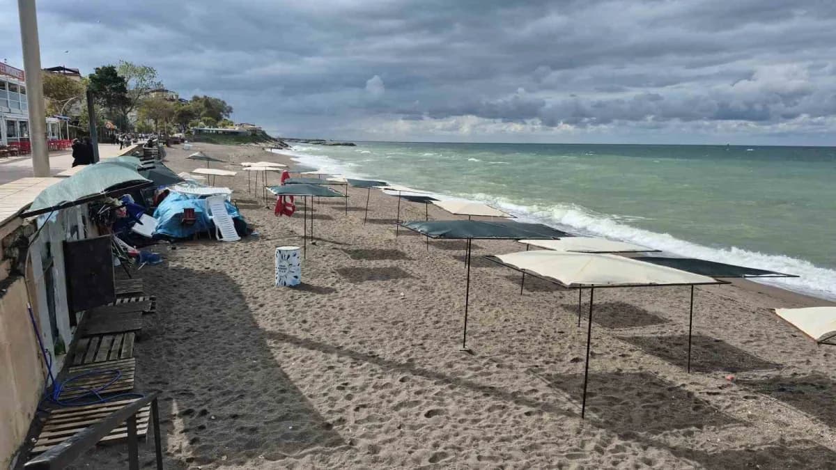 Akçakoca sahilinde martılar ve güvercinlerin boş plajda dolaşması