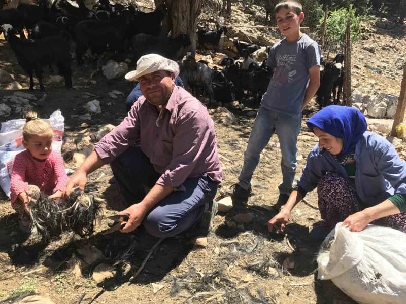 Antalya'nın Akseki ilçesinde yaz aylarını yüksek rakımlı yaylalarda geçiren Yörükler, atalarından kalan hayvancılık gele
