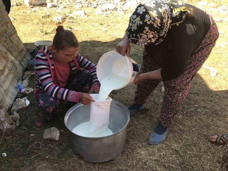 Antalya'nın Akseki ilçesinde yaz aylarını yüksek rakımlı yaylalarda geçiren Yörükler, atalarından kalan hayvancılık gele