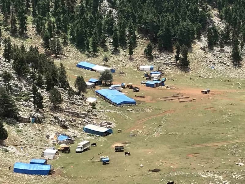 Antalya'nın Akseki ilçesinde yaz aylarını yüksek rakımlı yaylalarda geçiren Yörükler, atalarından kalan hayvancılık gele
