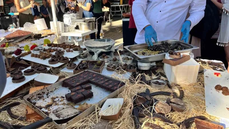 Alanya’da bu yıl ikincisi düzenlenen Keçiboynuzu Hasat Şenliği, çeşitli etkinlikler, yöresel ürün stantları, yarışmalar