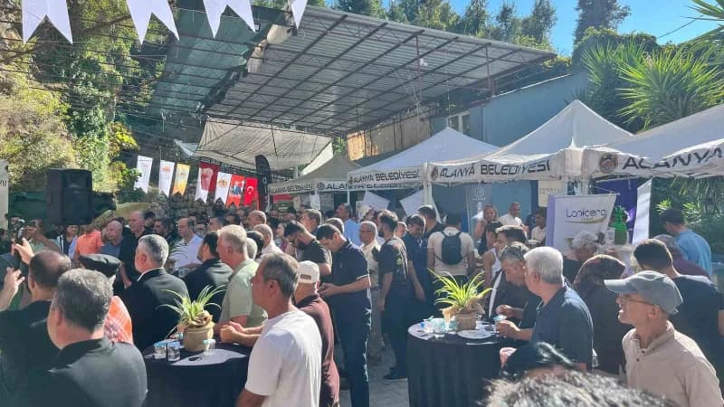 Alanya’da bu yıl ikincisi düzenlenen Keçiboynuzu Hasat Şenliği, çeşitli etkinlikler, yöresel ürün stantları, yarışmalar