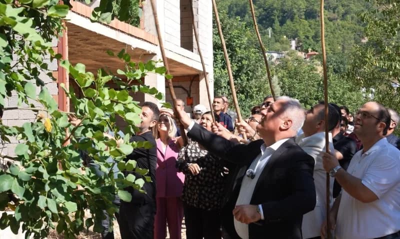 Alanya’da bu yıl ikincisi düzenlenen Keçiboynuzu Hasat Şenliği, çeşitli etkinlikler, yöresel ürün stantları, yarışmalar