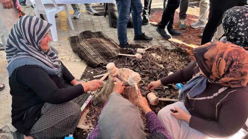 Alanya’da bu yıl ikincisi düzenlenen Keçiboynuzu Hasat Şenliği, çeşitli etkinlikler, yöresel ürün stantları, yarışmalar