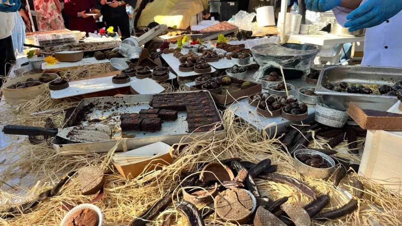 Alanya’da bu yıl ikincisi düzenlenen Keçiboynuzu Hasat Şenliği, çeşitli etkinlikler, yöresel ürün stantları, yarışmalar