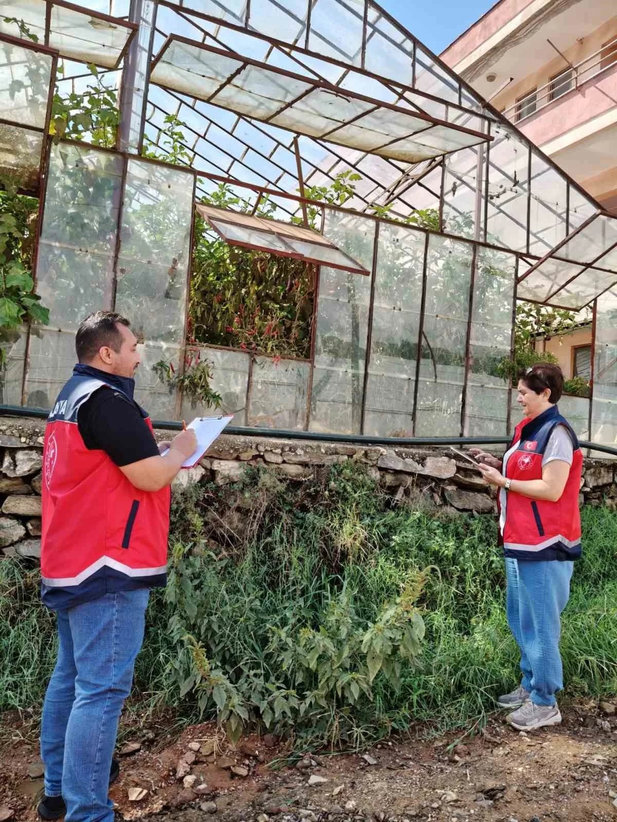 Örtüaltı üretimin önemli merkezlerinden Alanya’da, seraların yapısal durumunun belirlenmesi ve üretim kalitesinin artırı