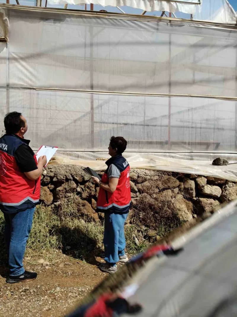 Örtüaltı üretimin önemli merkezlerinden Alanya’da, seraların yapısal durumunun belirlenmesi ve üretim kalitesinin artırı