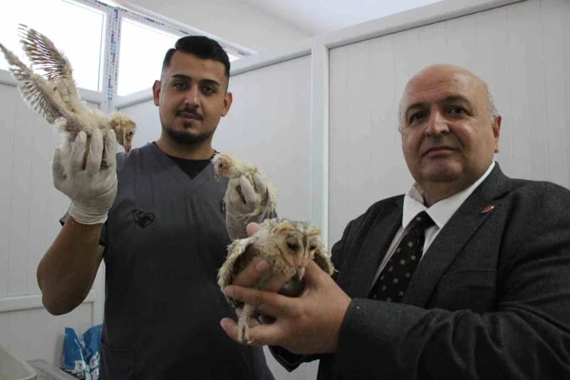 Veteriner İşleri Müdürü Kerim Düzgün (Sağda) açıklama yaptı