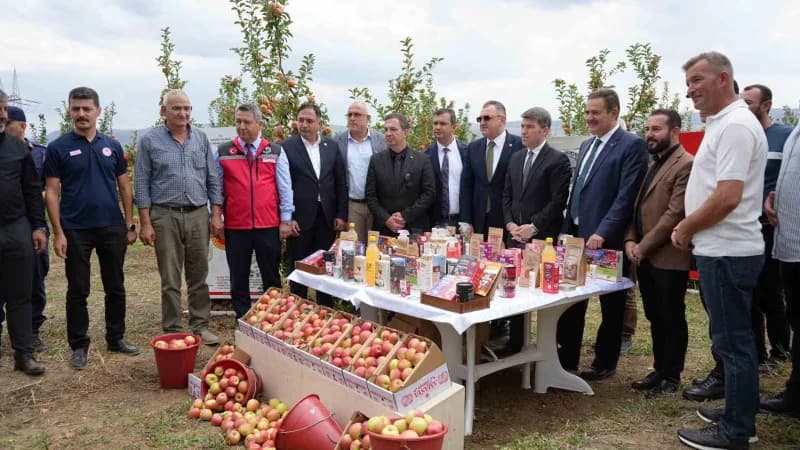Bir tarafı kırmızı, diğer tarafı yeşil renkteki coğrafi işaret tescilli Amasya misket elmasından bu yıl yaklaşık 6 bin 5