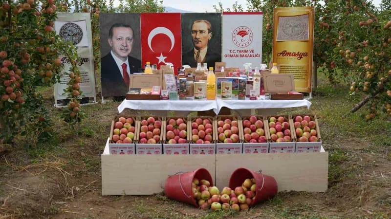 Tapınakta elmalı mozaik bulunmuştu.