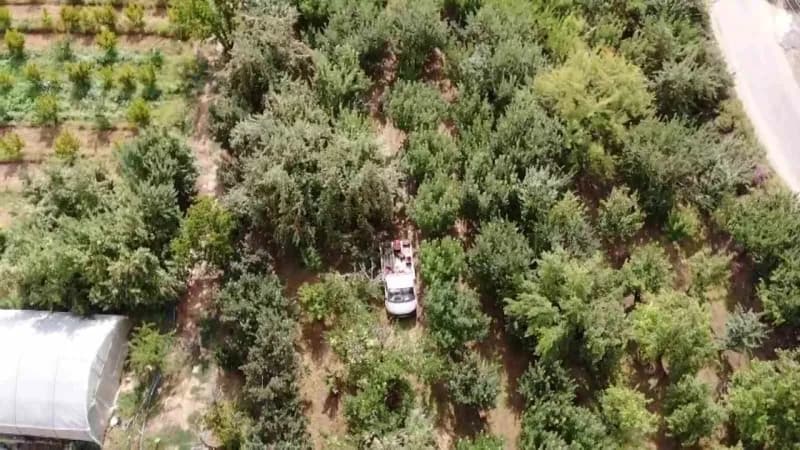 Elmaların fiyatının 10 TL ile 30 TL arasında değiştiğine değinen Damatoğlu, herkesi elmalardan satın alıp üreticileri de