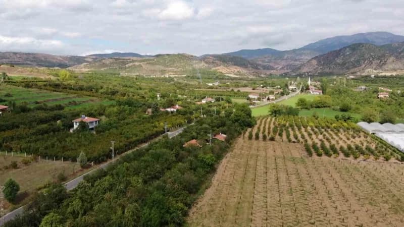 Elmaların fiyatının 10 TL ile 30 TL arasında değiştiğine değinen Damatoğlu, herkesi elmalardan satın alıp üreticileri de