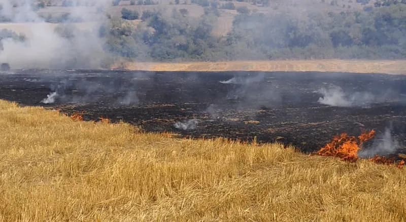 Karabük'ün Eflani ilçesinde çıkan anız yangını, itfaiye ekiplerinin müdahalesiyle büyümeden söndürüldü.