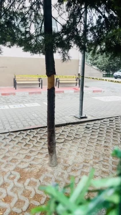Saldırının olduğu okul bahçesi