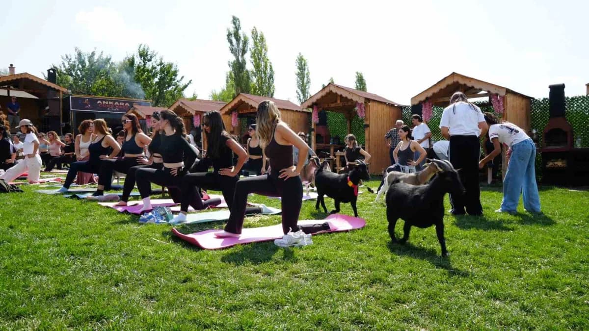 Ankara’da düzenlenen spor etkinliğinde cüce keçiler, egzersiz yapanlara eşlik etti. Etkinlikte spor yapanlar, cüce keçil