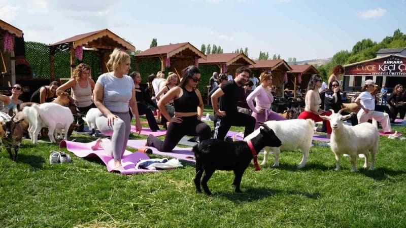 Ankara’da düzenlenen spor etkinliğinde cüce keçiler, egzersiz yapanlara eşlik etti. Etkinlikte spor yapanlar, cüce keçil