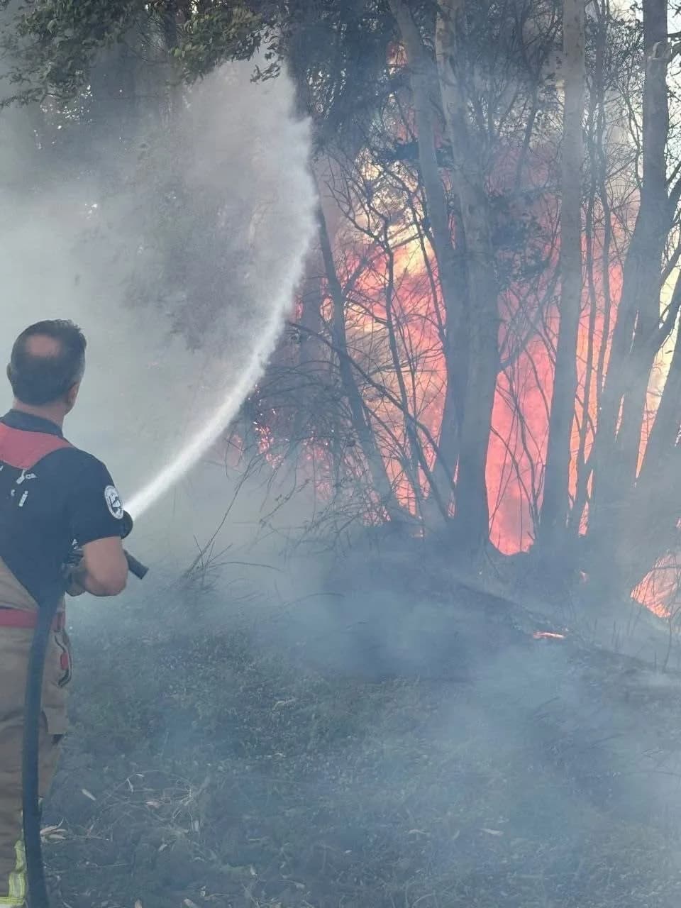 Antakya arpahan Mahallesi’nde ağaçlık ve otluk alanda çıkan yangına ekiplerin müdahalesi.
